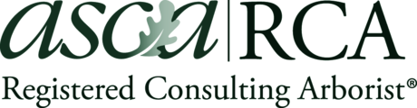 ASCA Registered Consulting Arborist