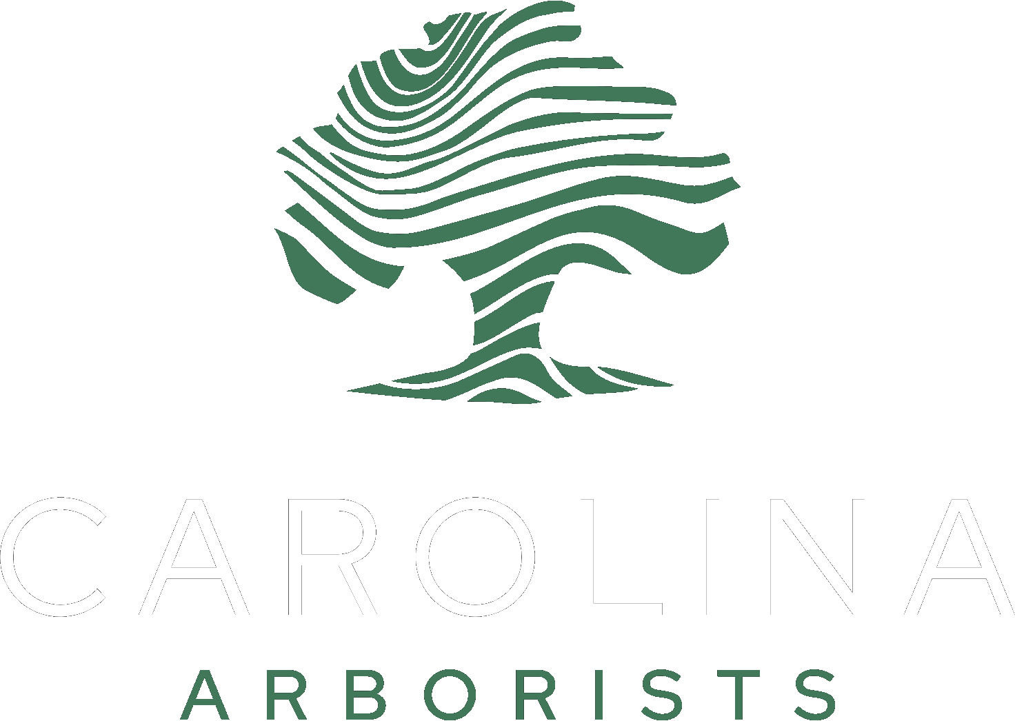 Carolina Arborists